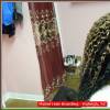 Mabel Hair Braiding